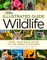 National Geographic Illustrated Guide to Wildlife