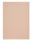 Popier.A4 CM 120g. Nude 408158