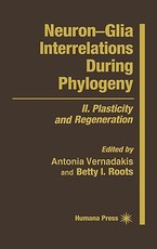 Neuron--Glia Interrelations During Phylogeny