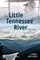 The Little Tennessee River