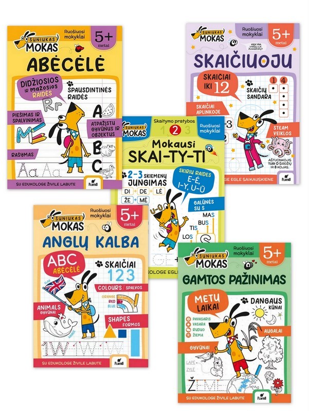 Paveikslėlis