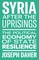 Syria After the Uprisings
