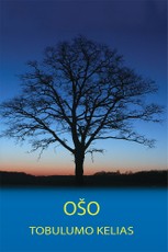 Tobulumo kelias (Ošo)