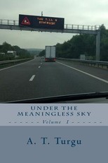 Under the Meaningless Sky