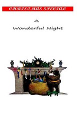 A Wonderful Night