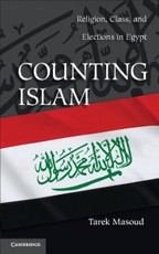 Counting Islam