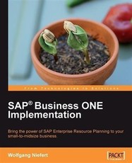 SAP(R) Business ONE Implementation