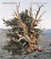 Mitch Epstein: American Nature
