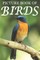 Picture Book of Birds
