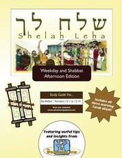 Bar/Bat Mitzvah Survival Guides