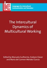 The Intercultural Dynamics of Multicultural Working, 19