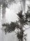 Ben Thorp Brown: Cura's Garden