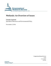 Wetlands