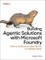 Building Agentic Solutions with Microsoft Foundry
