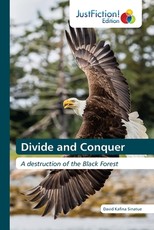 Divide and Conquer