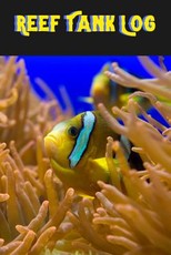 Reef Tank Log