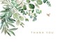 Eucalyptus Thank You Note Cards (14 Cards, 15 Self-Sealing Envelopes)