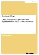 Target leverage and capital structure adjustment speed across German industries