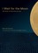 I Wait for the Moon
