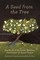 A Seed from the Tree
