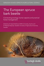 The European Spruce Bark Beetle