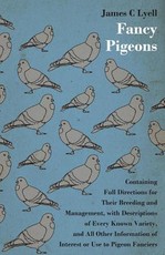 Fancy Pigeons