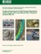 Ecological Requirements for Pallid Sturgeon Reproduction and Recruitment in the Lower Missouri River