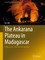 The Ankarana Plateau in Madagascar