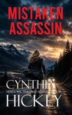 Mistaken Assassin