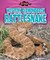 Western Diamondback Rattlesnake