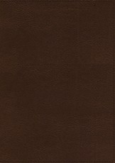 Esv, Thompson Chain-Reference Bible, Leathersoft, Brown, Red Letter, Thumb Indexed