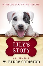 Lily's Story