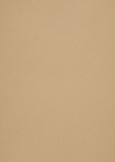 Popier.A4 CM 120g.Gold Leaf 408161