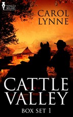 Cattle Valley Box Set 1