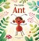 The Little Ant