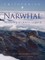 Narwhal