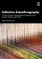 Collective Autoethnography