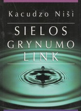Sielos grynumo link