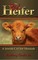 Red Heifer