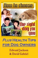 How To Choose The Right Dog For You