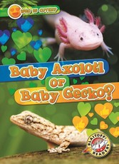 Baby Axolotl or Baby Gecko?
