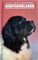 Newfoundlands