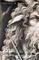 Between Two Worlds