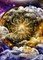 Cosmic Wealth Codes Journal
