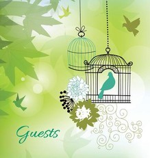 Guest Book, Visitors Book, Guest Comments Book (HARDBACK) House Guest Book, Party Guest Book, Vacation Home Guest Book