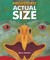 Prehistoric Actual Size