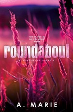 Roundabout Discreet Cover