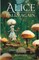 Alice Falls Again
