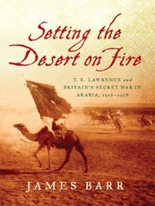 Setting the Desert on Fire: T. E. Lawrence and Britain's Secret War in Arabia, 1916-1918