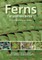 Ferns of Southern Africa (el. knyga)